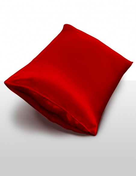 Taie d'Oreiller en Soie Collection inSilk